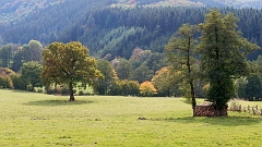 20151012 0173 Omgeving Troispont : Ardennen